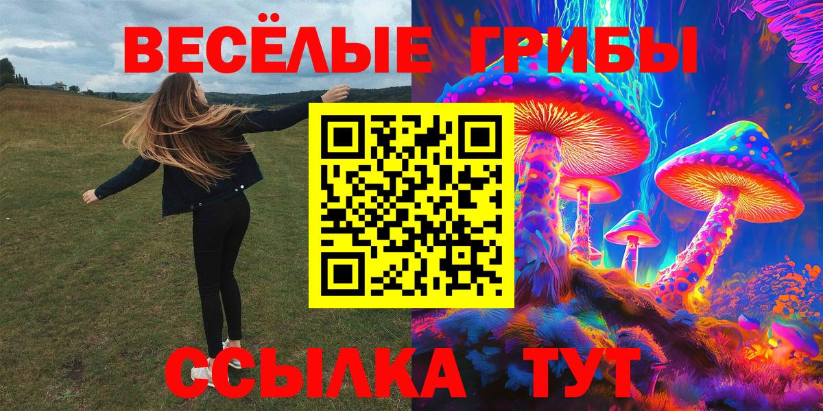 Симферополь  Галлюциногенные грибы мицелий  Вход с VPN 